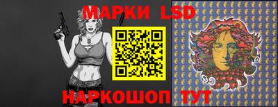 гидропоника Новокубанск