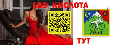 гидропоника Новокубанск